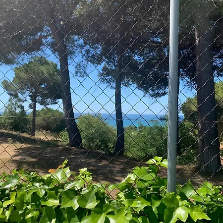 Your Pet-friendly In Sant Pol * Sant Pol De Mar