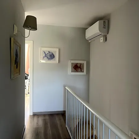 Your Pet-friendly In Sant Pol *