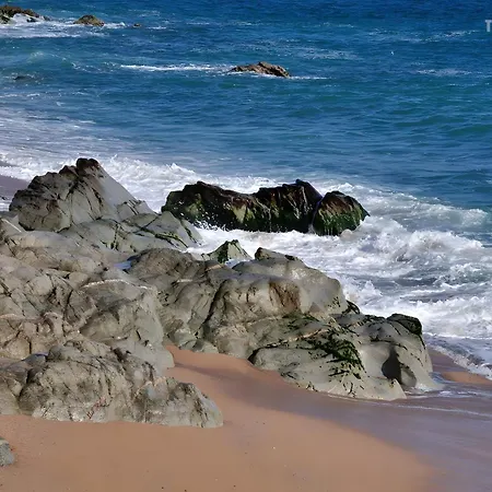 Holiday home Your Pet-friendly In Sant Pol